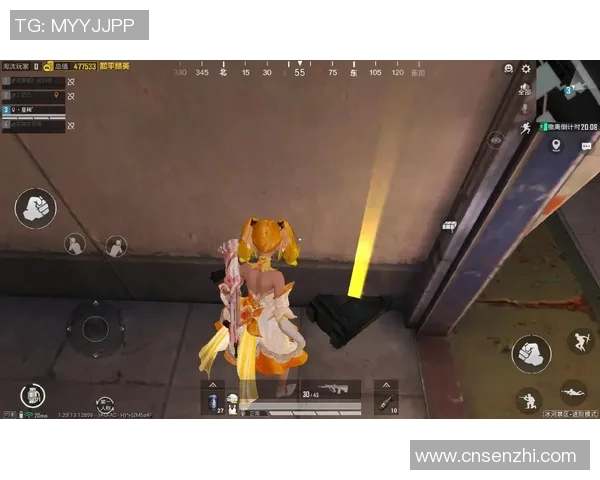 与赵秀英畅谈和平精英的成长历程与未来展望 与赵秀英畅谈和平精英的成长历程与未来展望