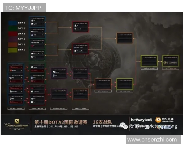 S15LOL与DOTA2比赛中IG团队协作的深度分析与探讨
