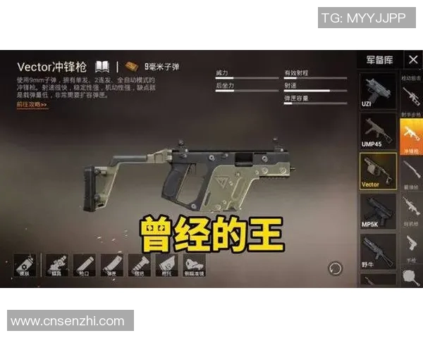 最新和平精英速度排行榜前十名V5战队领跑全场精彩对决解析实时数据